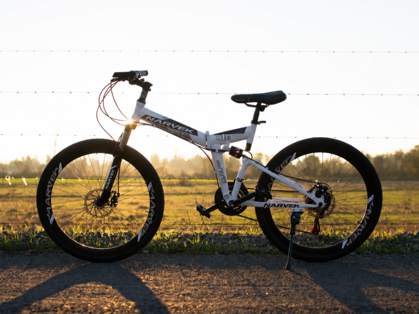 Customer-shared photograph of a NARVEK folding bicycle outdoors