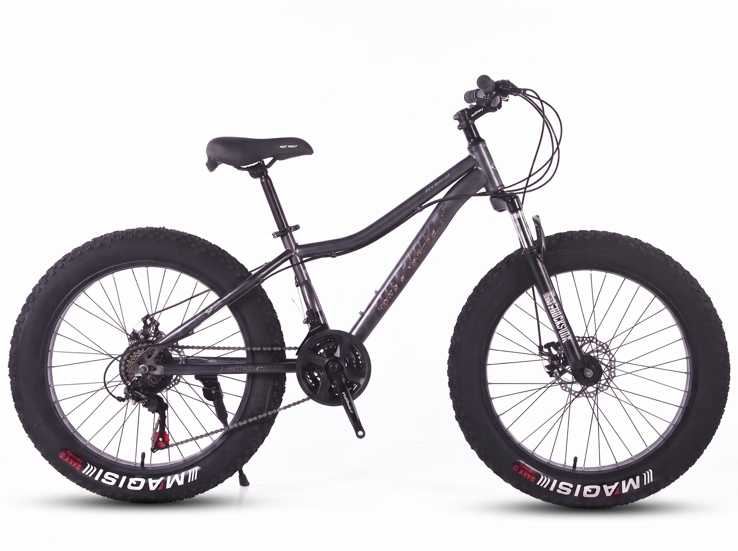 FT-04 24-inch fat bike reference platform