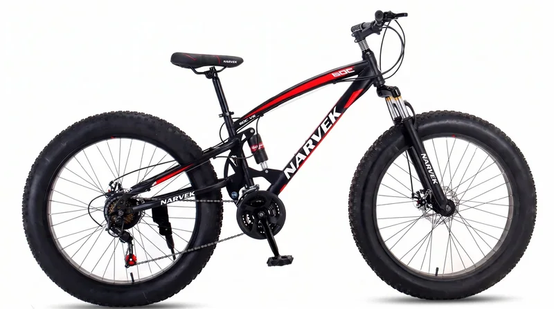 FT-06 26-inch fat bike reference platform
