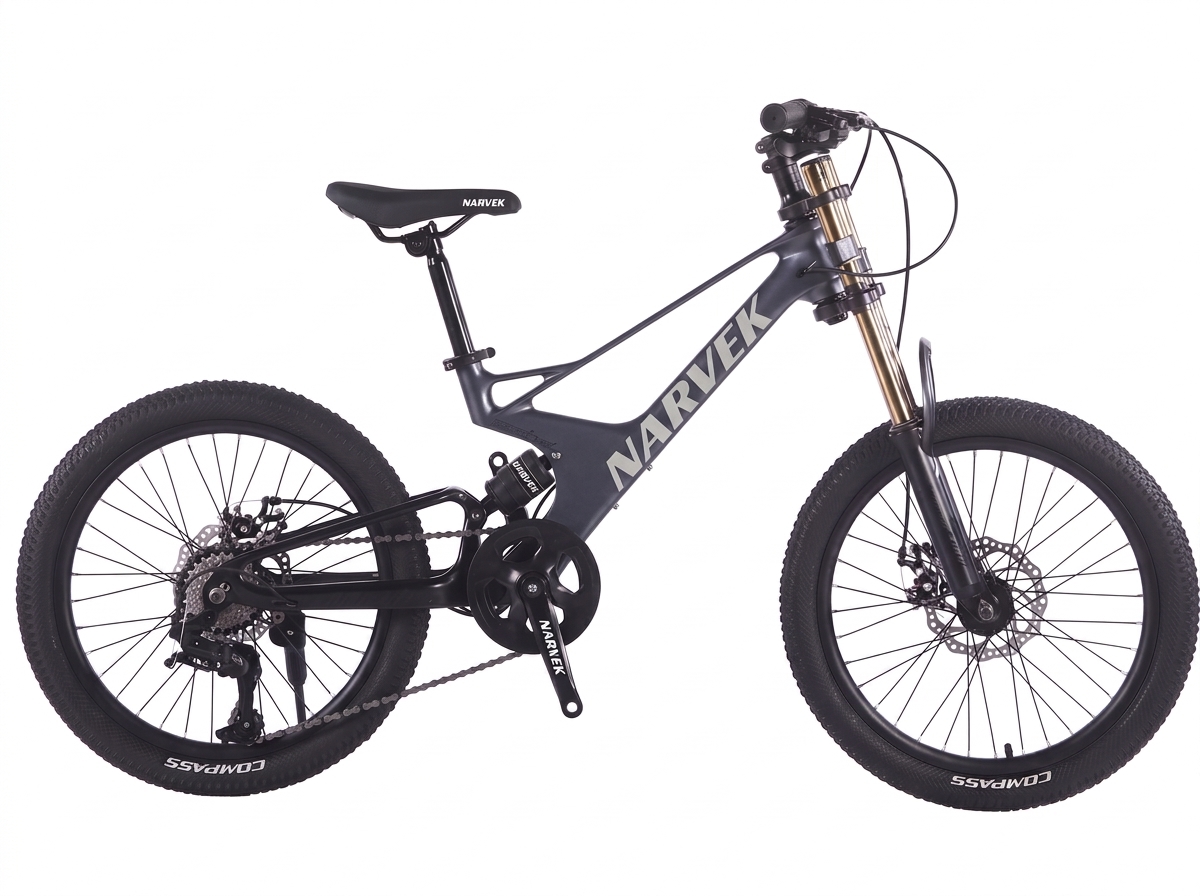 Magnesium 20in Bike