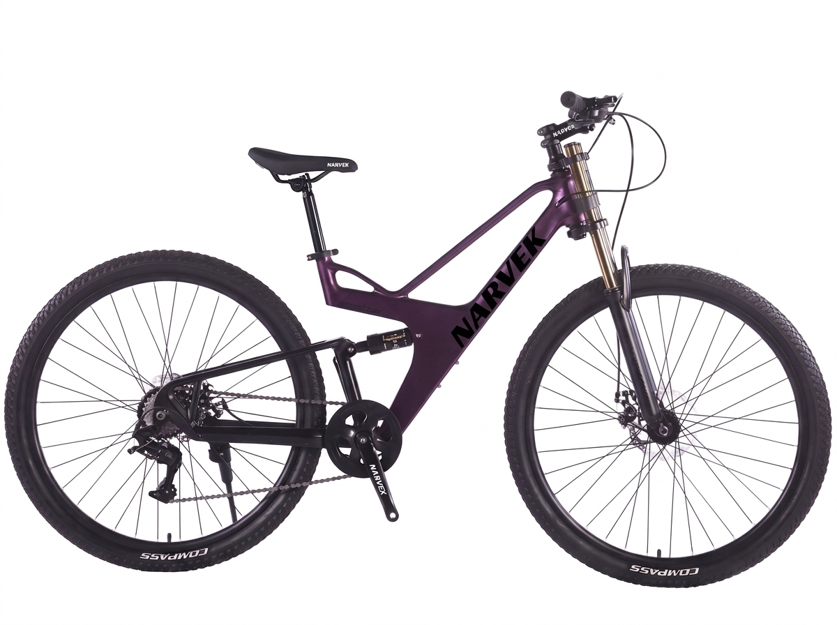 Magnesium 26in Bike