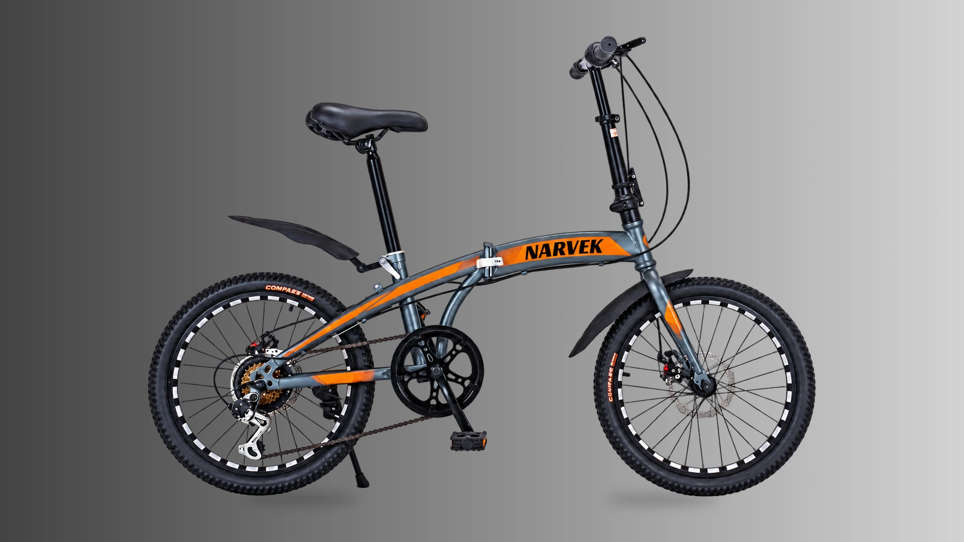 Fly Fish 20in Folding Bike