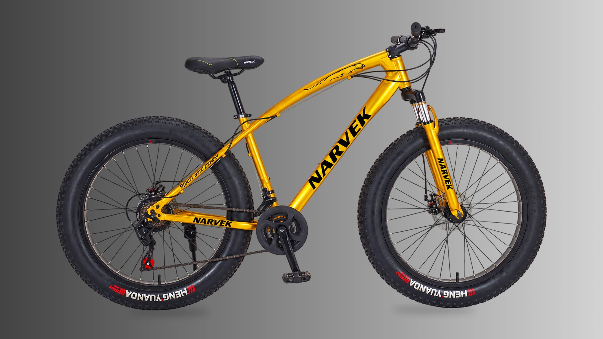 FT-01 26in Fat Bike