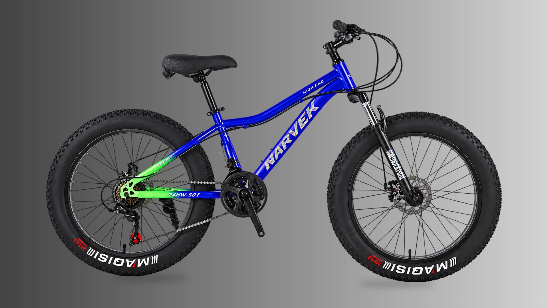 FT-04 24HW-501 fat bike in blue / green