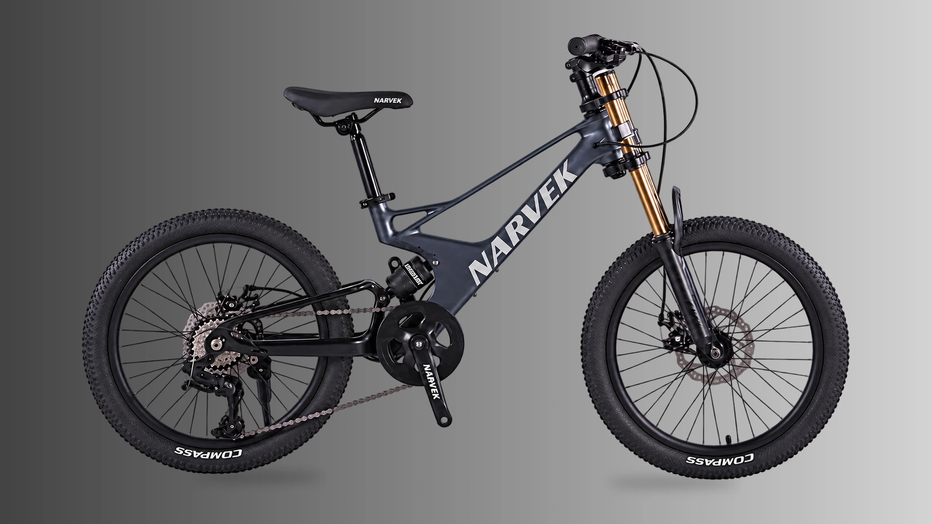 Magnesium 20in Bike